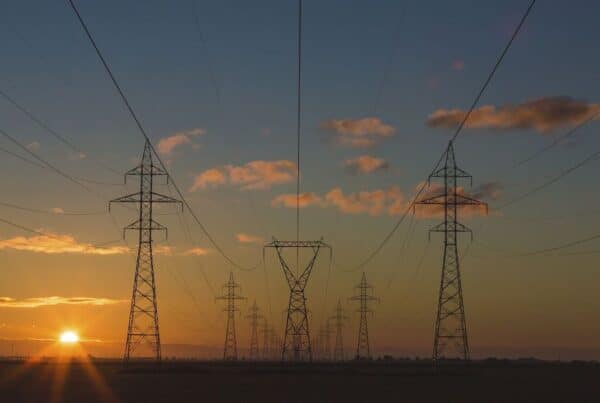 parteneriat pe termen lung